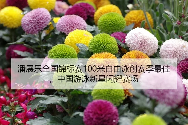 潘展乐全国锦标赛100米自由泳创赛季最佳，中国游泳新星闪耀赛场