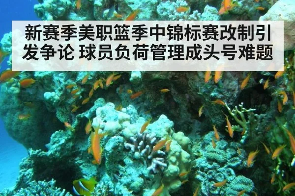 新赛季美职篮季中锦标赛改制引发争论 球员负荷管理成头号难题